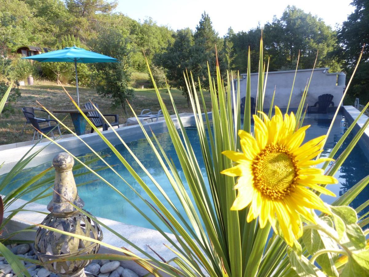 Pigeonnier Des Banons Bed & Breakfast Puimoisson ภายนอก รูปภาพ